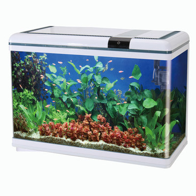博宇魚缸水族箱 詳細(xì)分析與購買建議