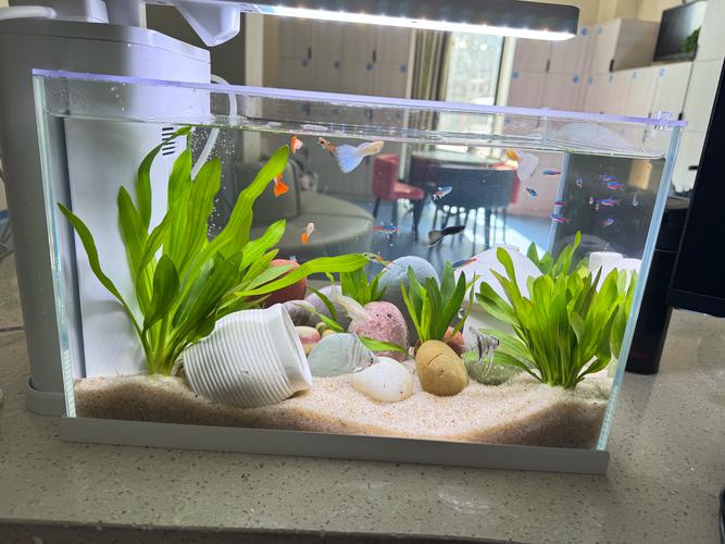YEE迷你數顯恒溫加熱棒 小型水族箱與低水位環(huán)境的智能溫控解決方案