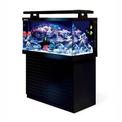 紅海MAX S-500 頂級海水魚缸的預定款，一淘網優(yōu)惠購省心又省錢