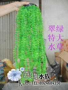 靈動(dòng)水下桃源 生態(tài)假山助力水族箱打造夢(mèng)幻魚(yú)樂(lè)世界